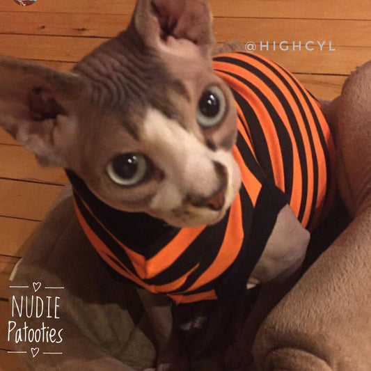 Orange and Black Stripe Sphynx cat and kitten shirt.  Sphynx cat clothes.
