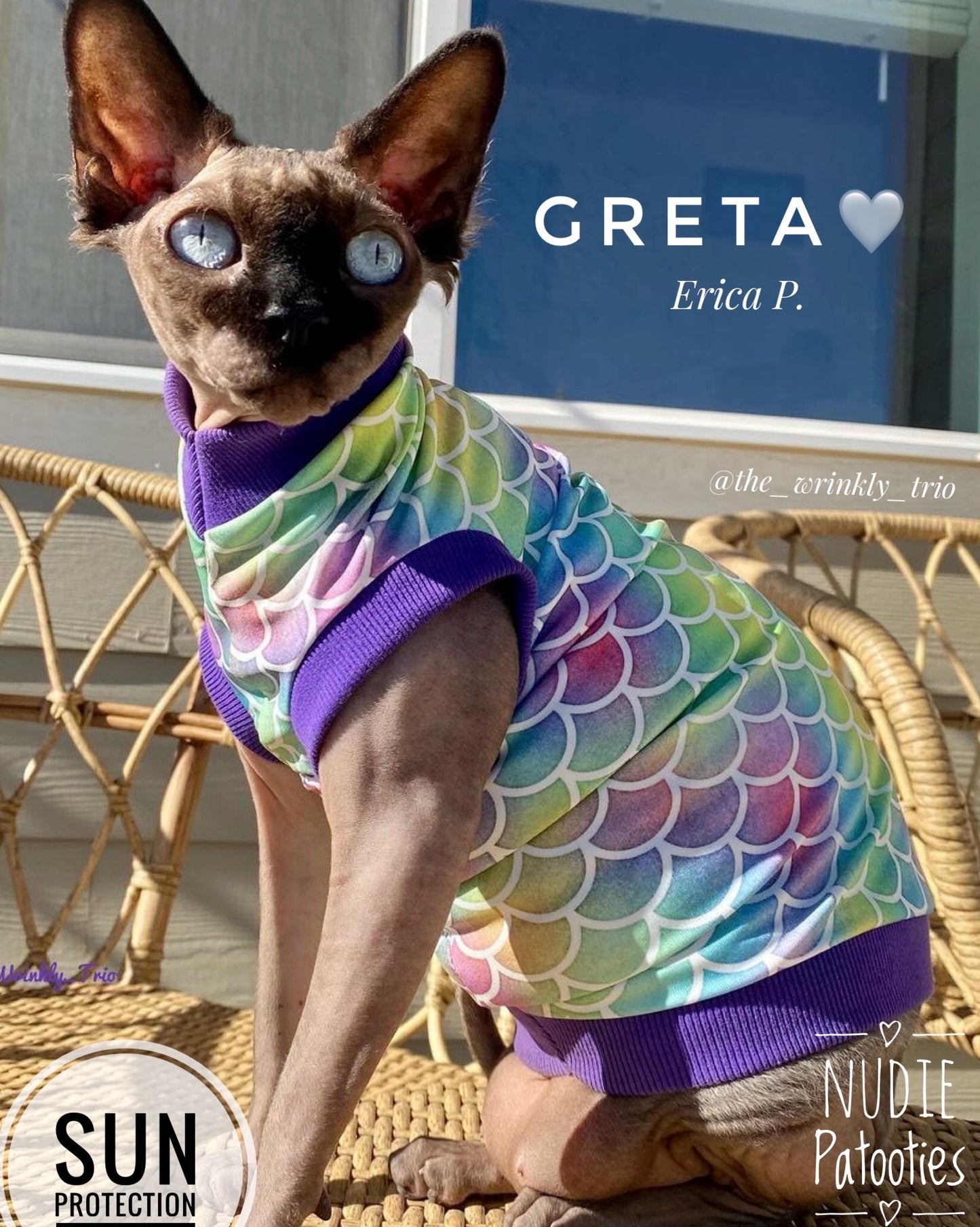 UV 50 + sun protection shirt for sphynx cat and kitten.  Sphynx cat clothes. 