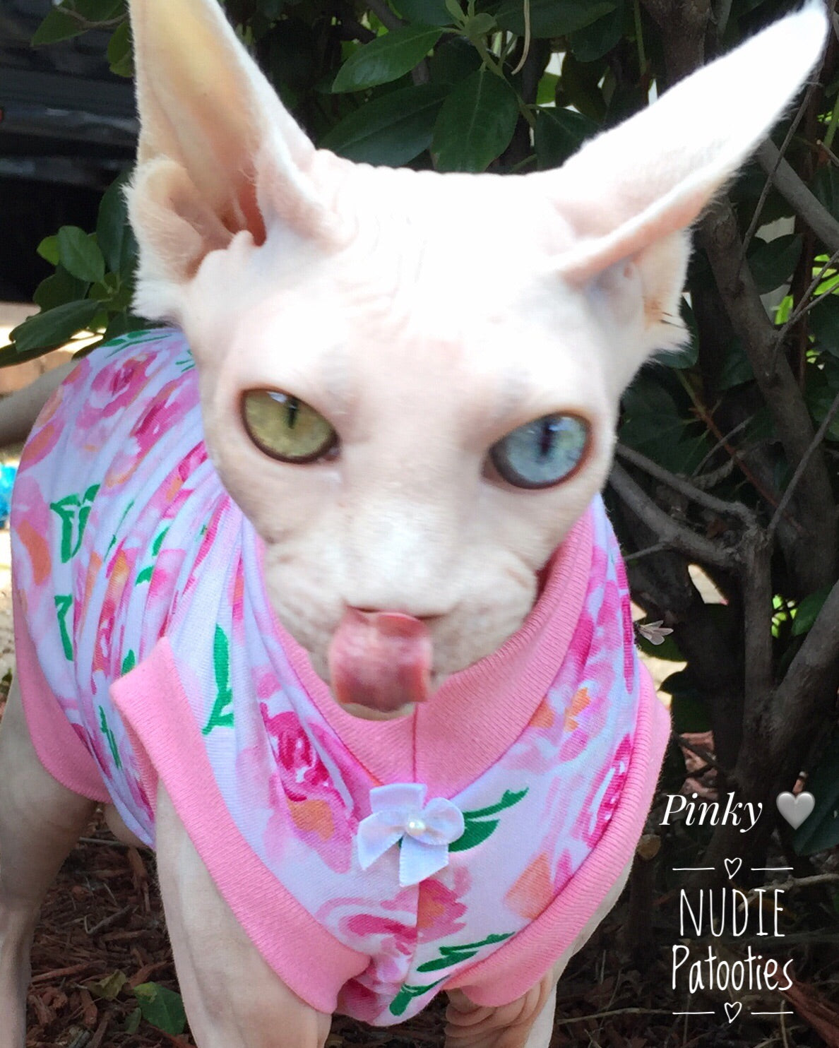 odd eye cat/Sphynx Cat Fleece Clothes / clothes for cats/ cat overalls /cat shirt/ cat sweater/ cat sweatshirt/ pet sweater/ Sphynx cat clothes/ Sphynx clothing / cats clothes/ shirt for cat/ cat clothes/ tattoo/ skull/ designer cat clothes/ cat pjs 