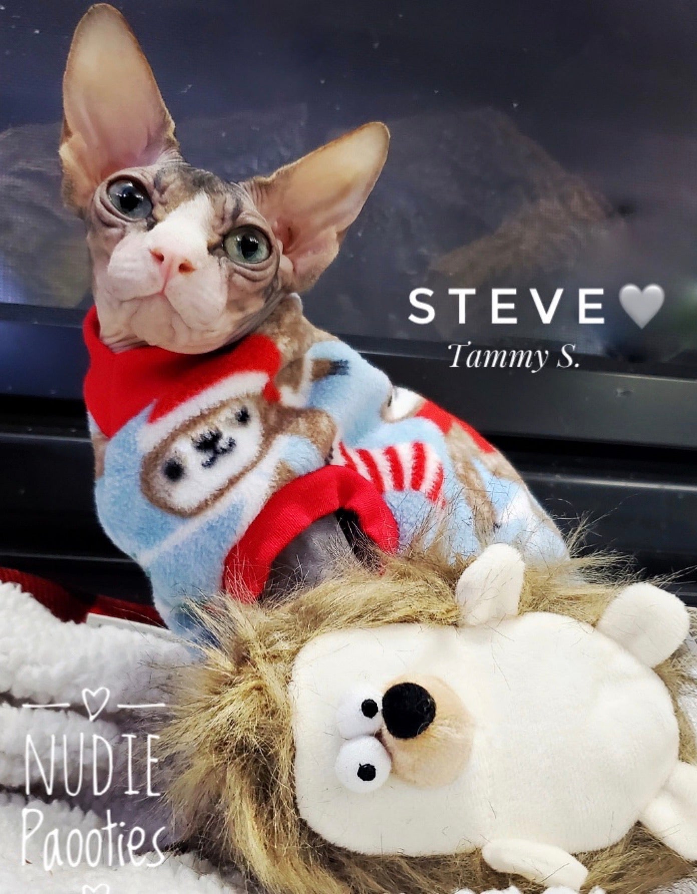 Holiday Sloth Fleece "I'm All Love"