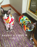 Stripe Pineapple Fleece "Party Pineapple"