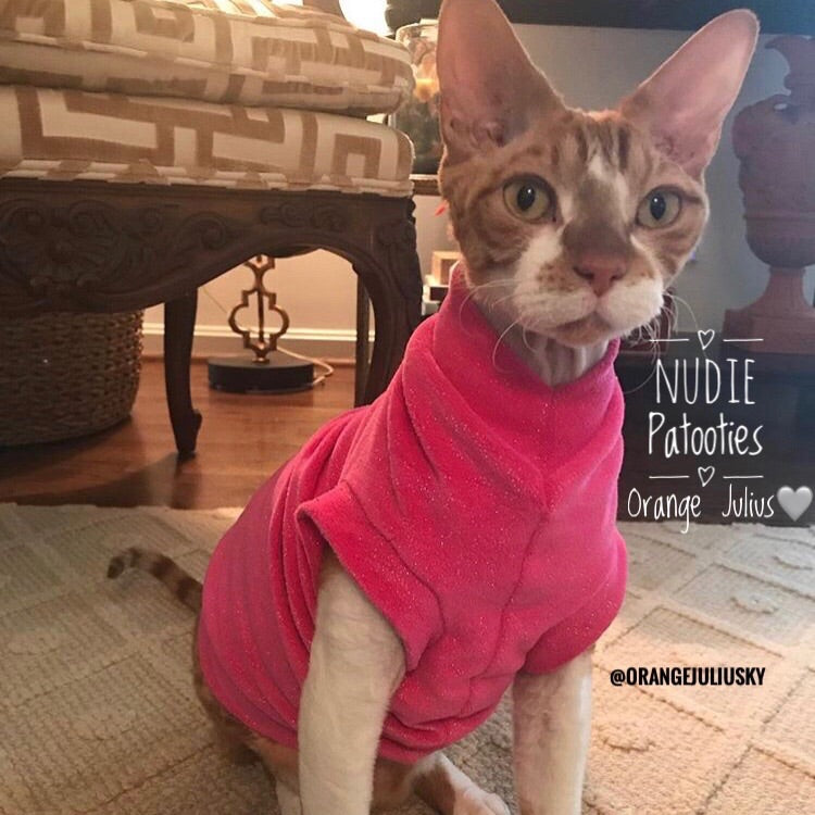 Sphynx Cat Fleece Clothes / clothes for cats/ cat overalls /cat shirt/ cat sweater/ cat sweatshirt/ pet sweater/ Sphynx cat clothes/ Sphynx clothing / cats clothes/ shirt for cat/ cat clothes/ tattoo/ skull/ designer cat clothes/ cat pjs