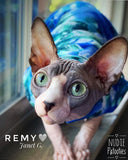 Sphynx cat clothes, shirts and sweaters. 