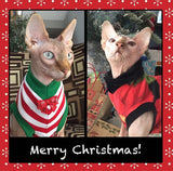 Christmas Red and White Stripe Shirt "Santa's Little Helper" - Nudie Patooties  Sphynx cat clothes for your sphynx cat, sphynx kitten, Donskoy, Bambino Cat, cornish rex, peterbald and devon rex cat. 