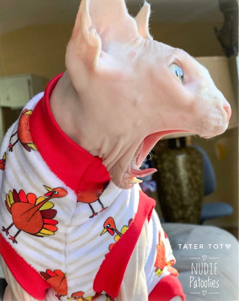 Minky Stripe Thanksgiving Turkeys