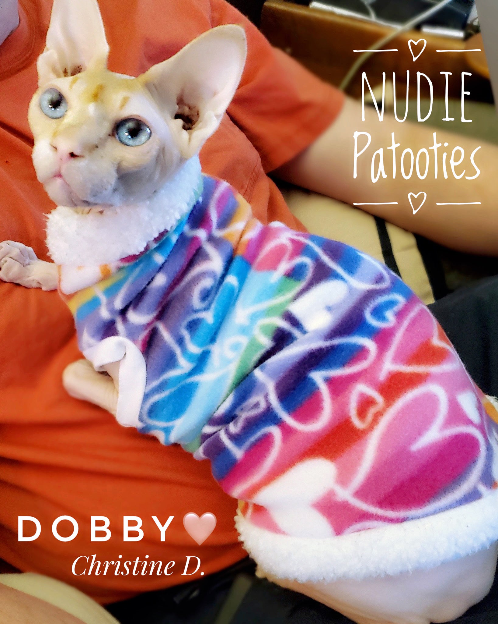 Sphynx Clothes l Cat Sweaters l Sphynx Shirts l Clothes For Cats Nudie Patooties