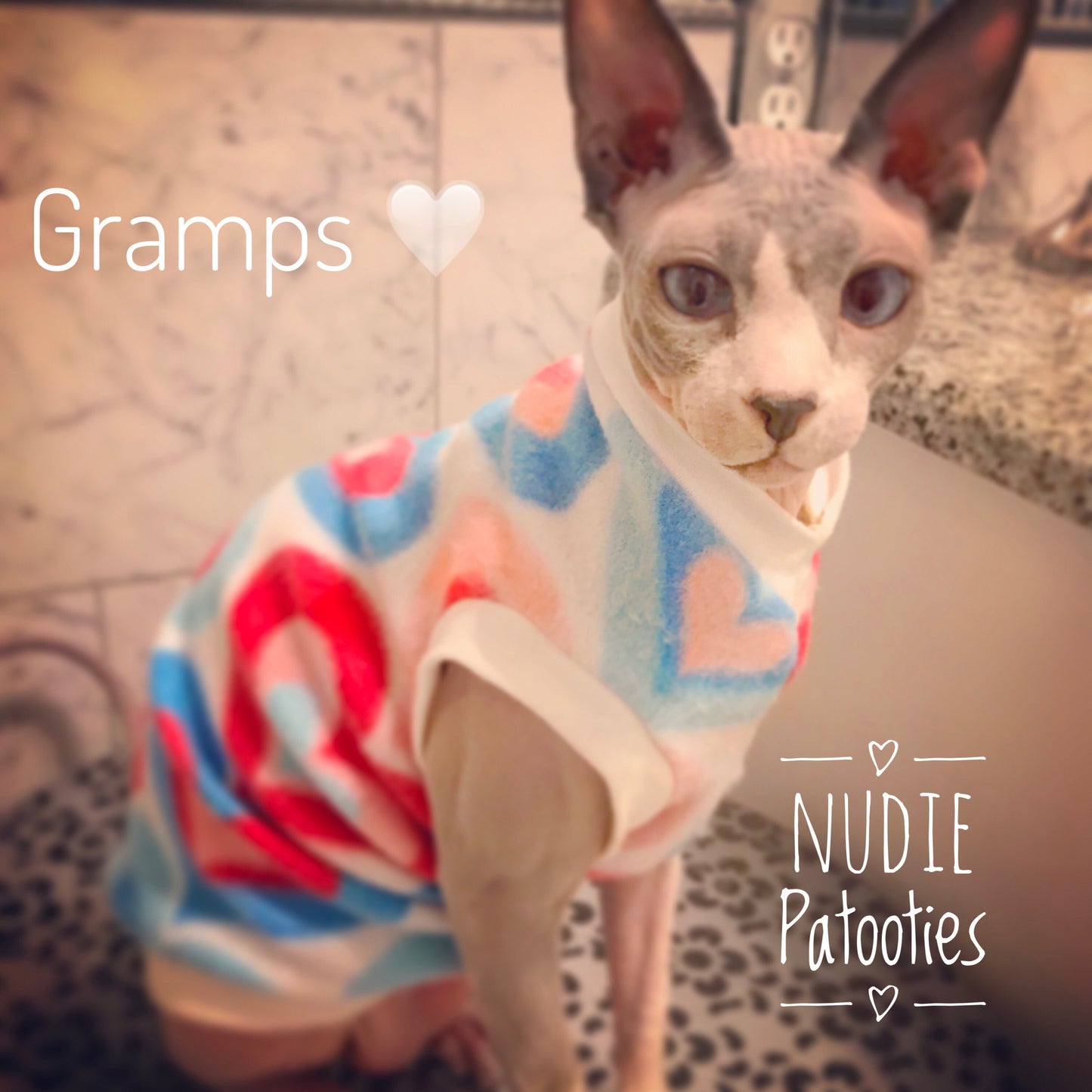 Blue and Pink Heart Fleece "Sweet as Sugar" - Nudie Patooties  Sphynx cat clothes for your sphynx cat, sphynx kitten, Donskoy, Bambino Cat, cornish rex, peterbald and devon rex cat. 