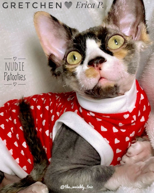 Red and white sphynx cat and kitten shirt.  Sphynx cat clothes.