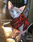 Velvet Fire Orange & Black Zebra