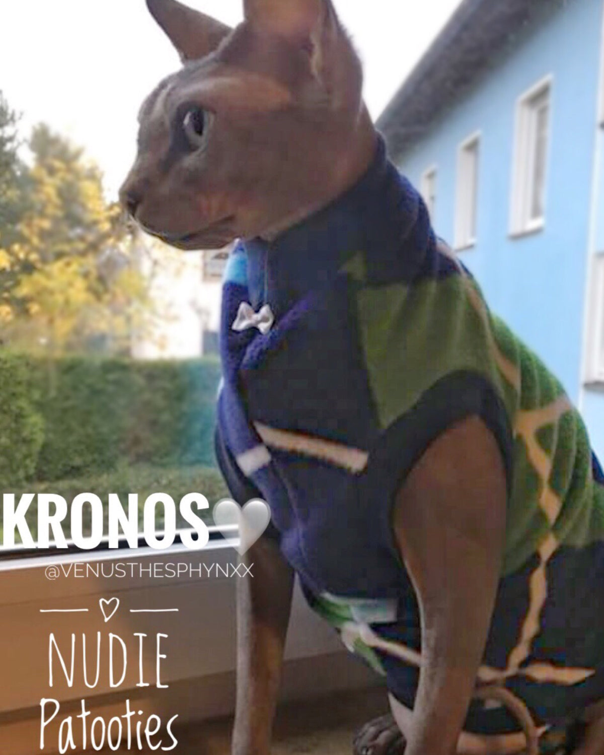 Sphynx Cat Fleece Clothes / clothes for cats/ cat overalls /cat shirt/ cat sweater/ cat sweatshirt/ pet sweater/ Sphynx cat clothes/ Sphynx clothing / cats clothes/ shirt for cat/ cat clothes/ tattoo/ skull/ designer cat clothes/ cat pjs 