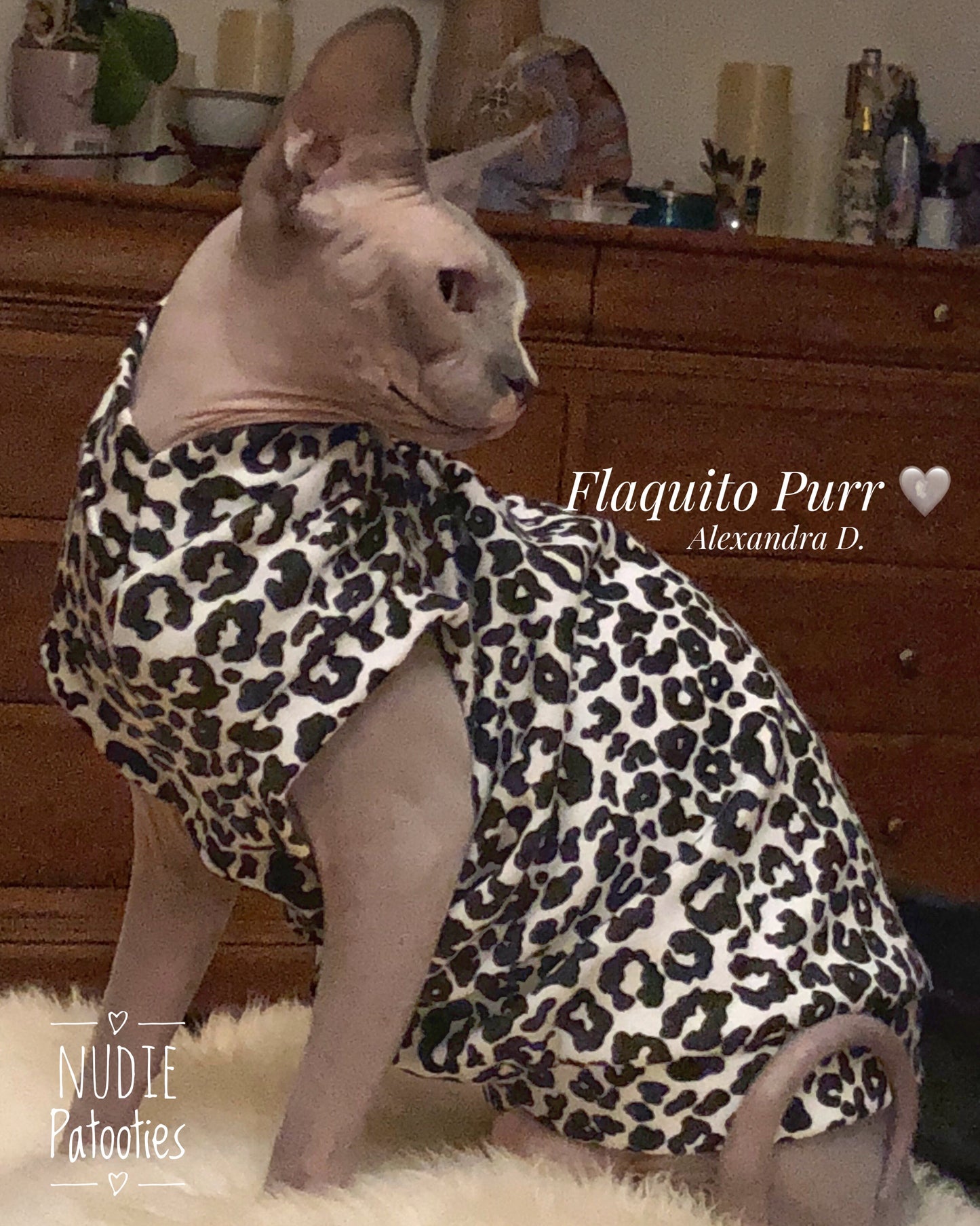 Black and White Cheetah - Nudie Patooties  Sphynx cat clothes for your sphynx cat, sphynx kitten, Donskoy, Bambino Cat, cornish rex, peterbald and devon rex cat. 