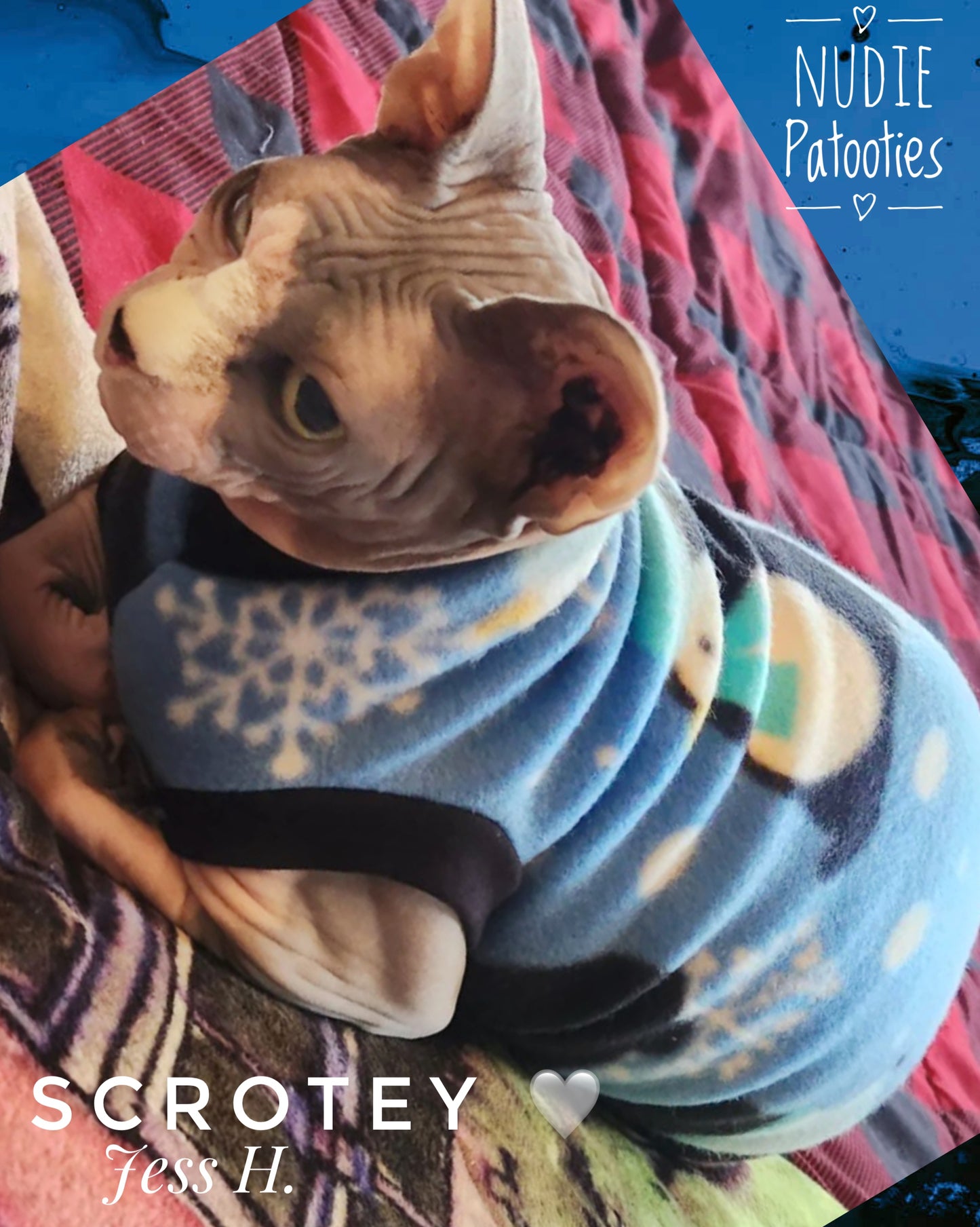 Sphynx cat and kitten soft and warm fleece shirt.  Sphynx cat clothes