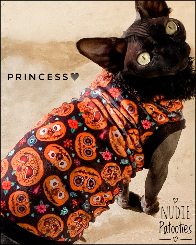 Sphynx cat and kitten shirt clothes