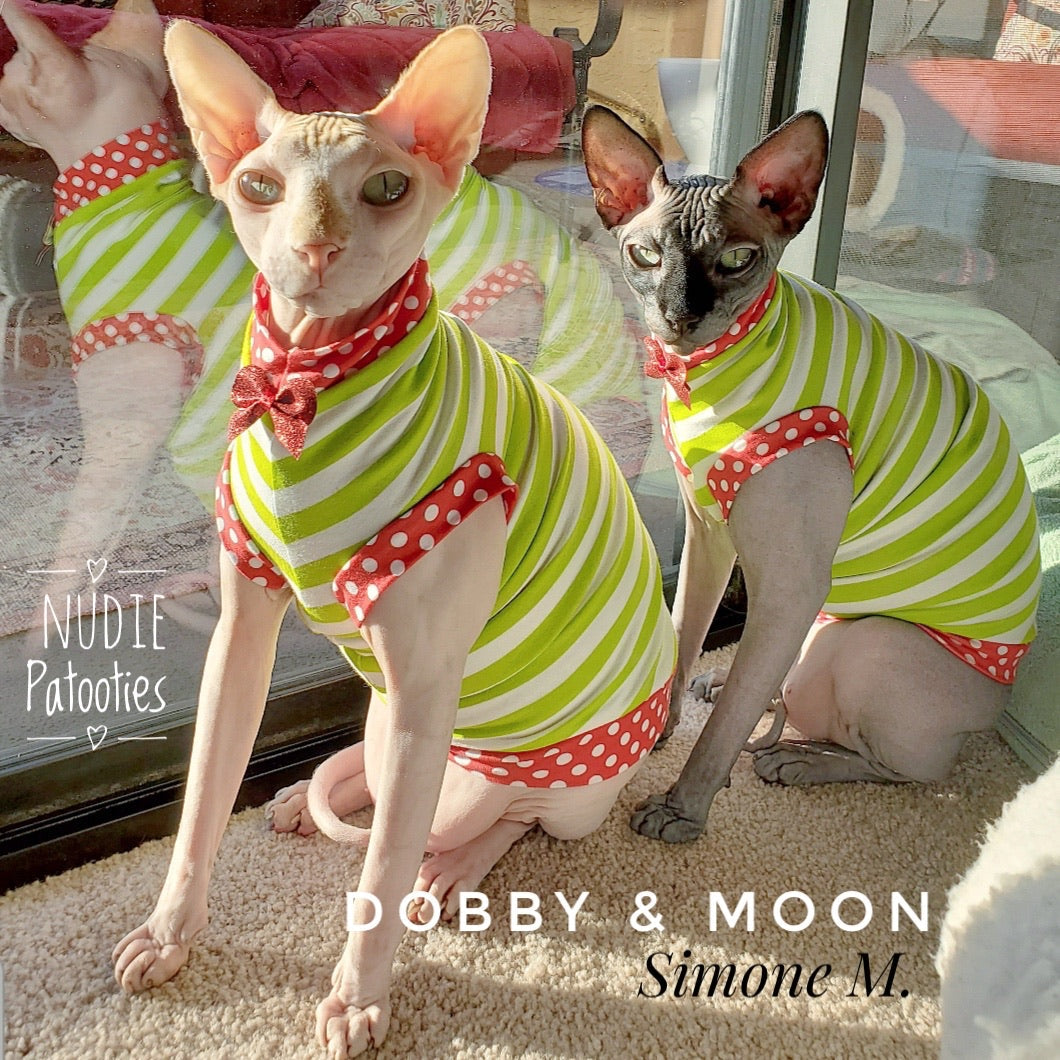 Lime and white stripes with red polka dot trim and cute bow sphynx cat and kitten Christmas shirt.  Sphynx cat clothes 