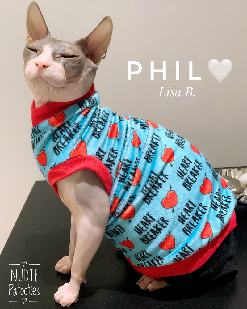 Sphynx cat and kitten shirt.  Sphynx cat clothes