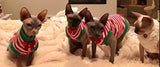 Christmas Red and White Stripe Shirt "Santa's Little Helper" - Nudie Patooties  Sphynx cat clothes for your sphynx cat, sphynx kitten, Donskoy, Bambino Cat, cornish rex, peterbald and devon rex cat. 