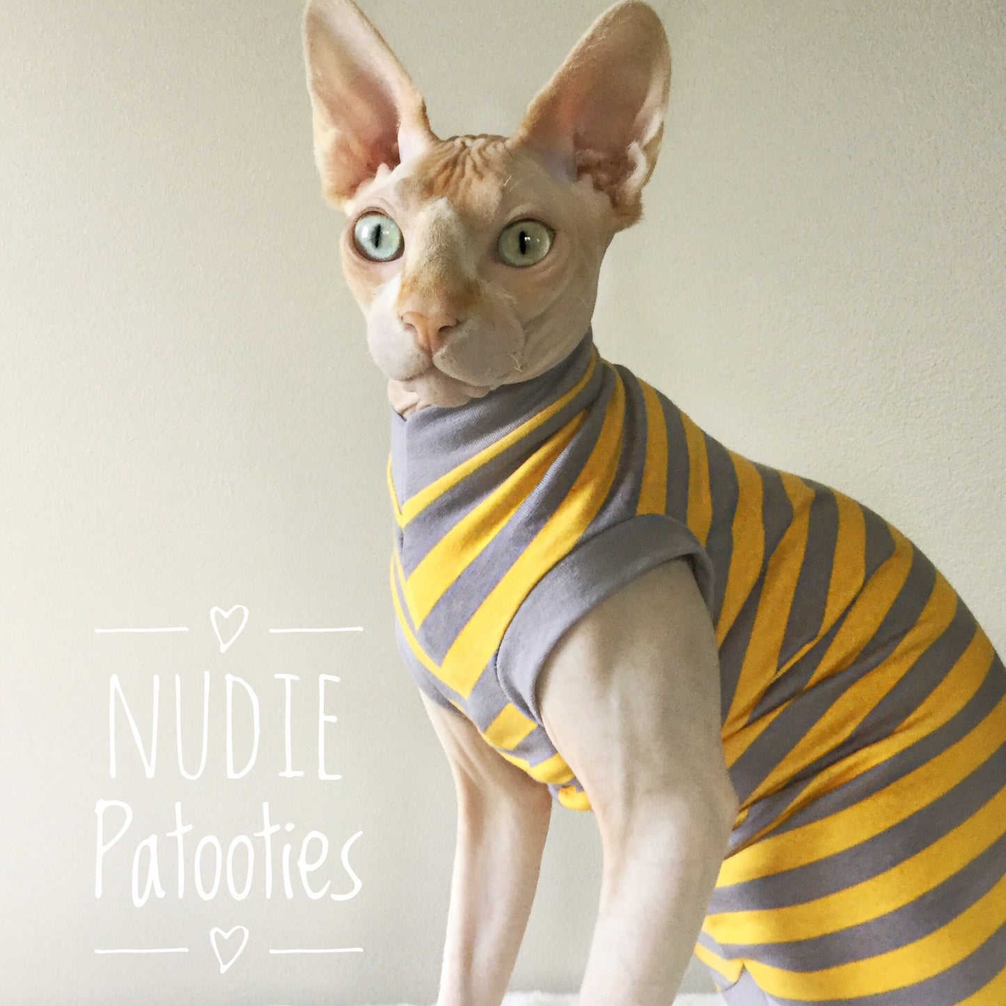 Sphynx cat clothes