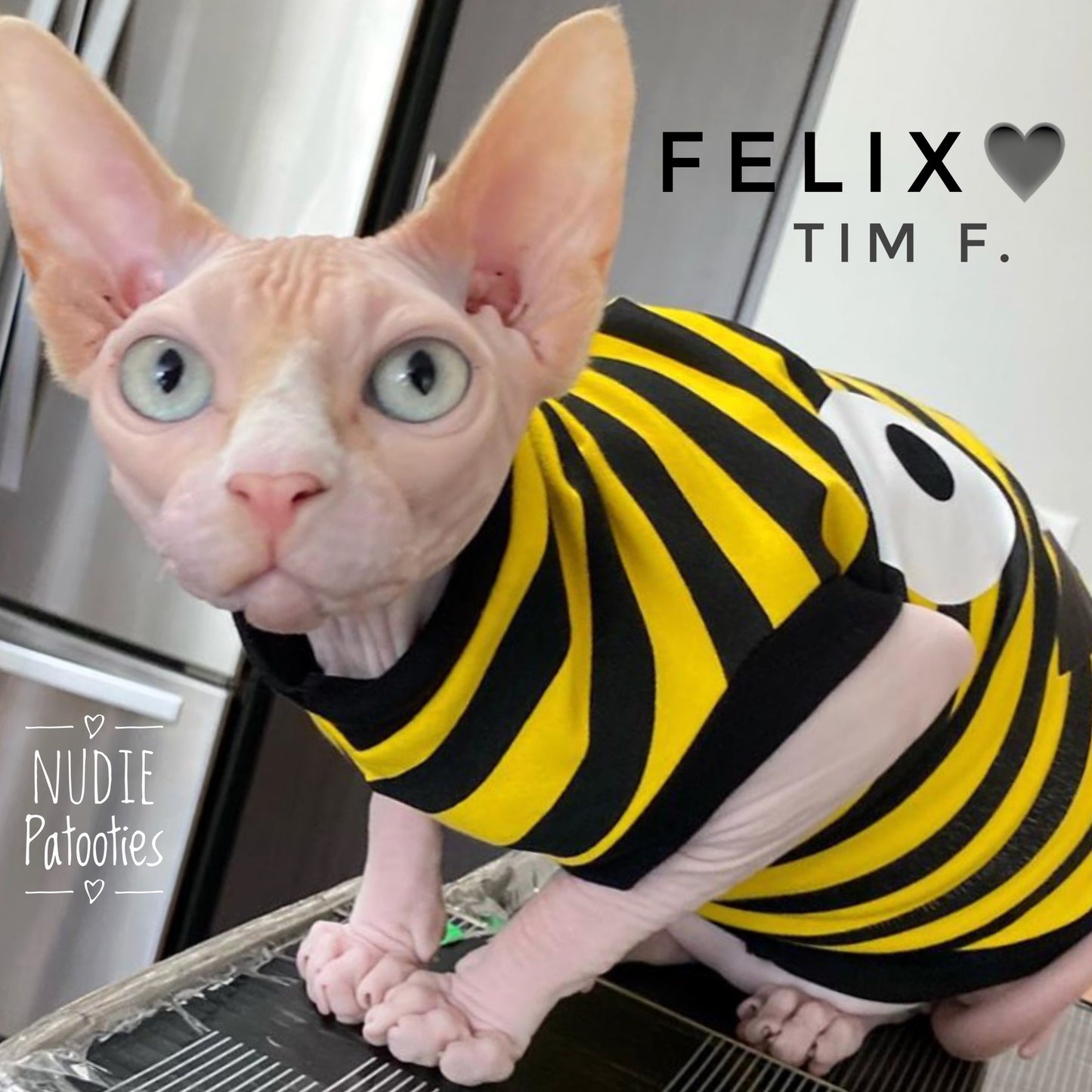 Yellow and Black Stripe "Monster Mash"