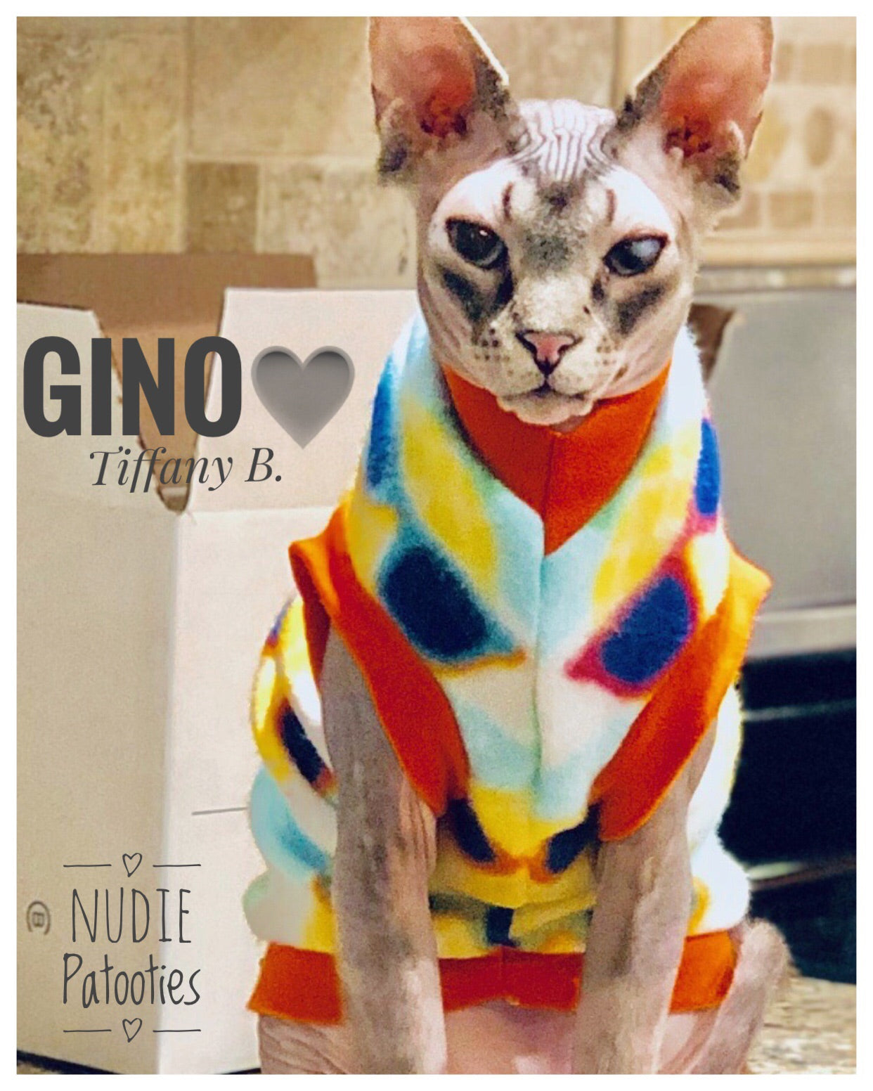 Nudie Patooties Fleece shirt for your sphynx cat, sphynx kitten, cornish rex, peterbald and devon rex cat.  Sphynx cat clothes, shirts and sweaters. 