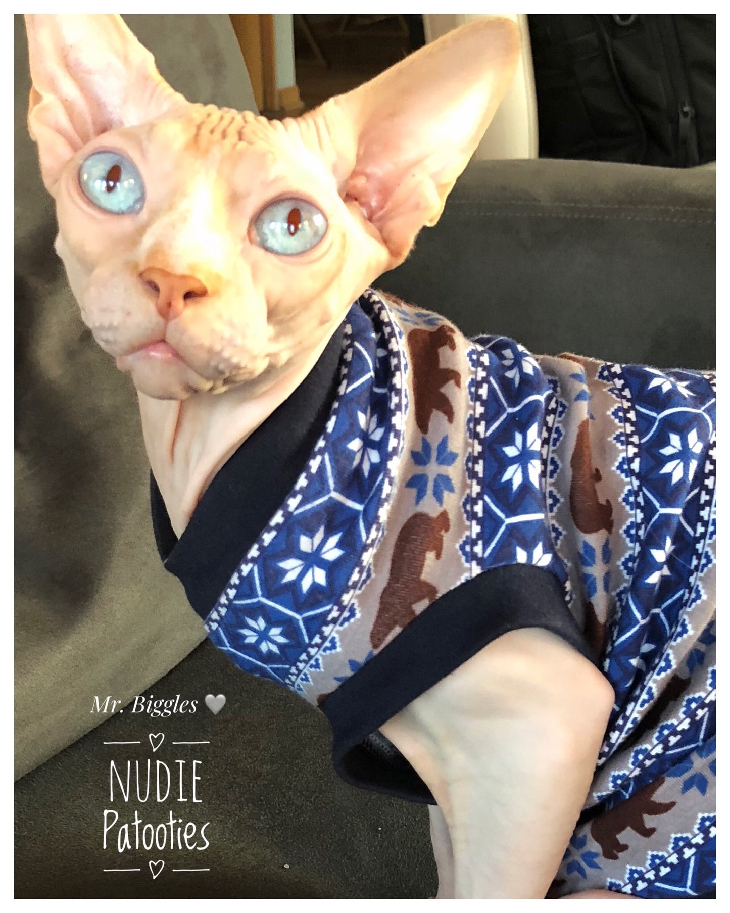 Cotton Bear Shirt.  sphynx clothes.  sphynx kitten clothes.  