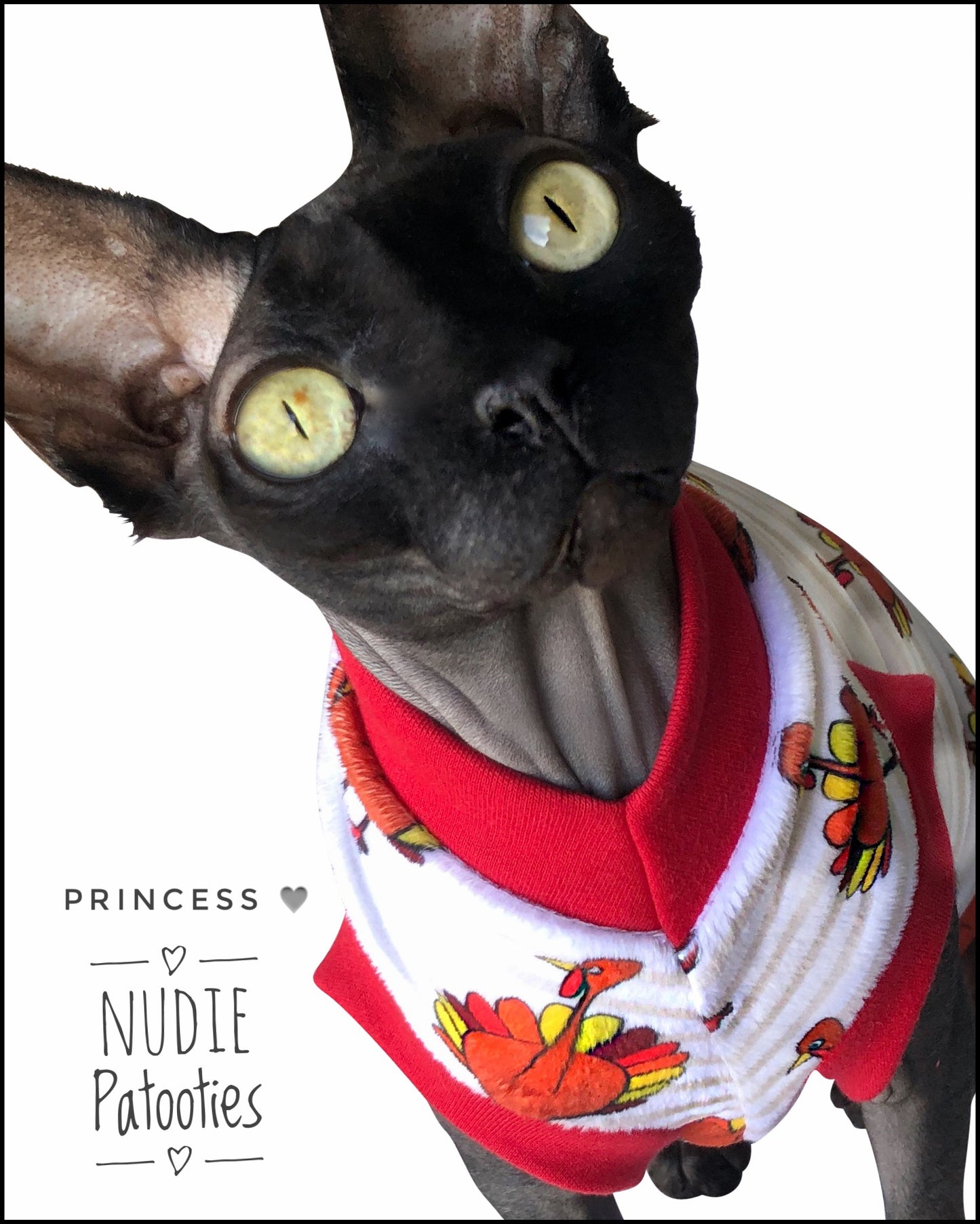 Minky Stripe Thanksgiving Turkeys