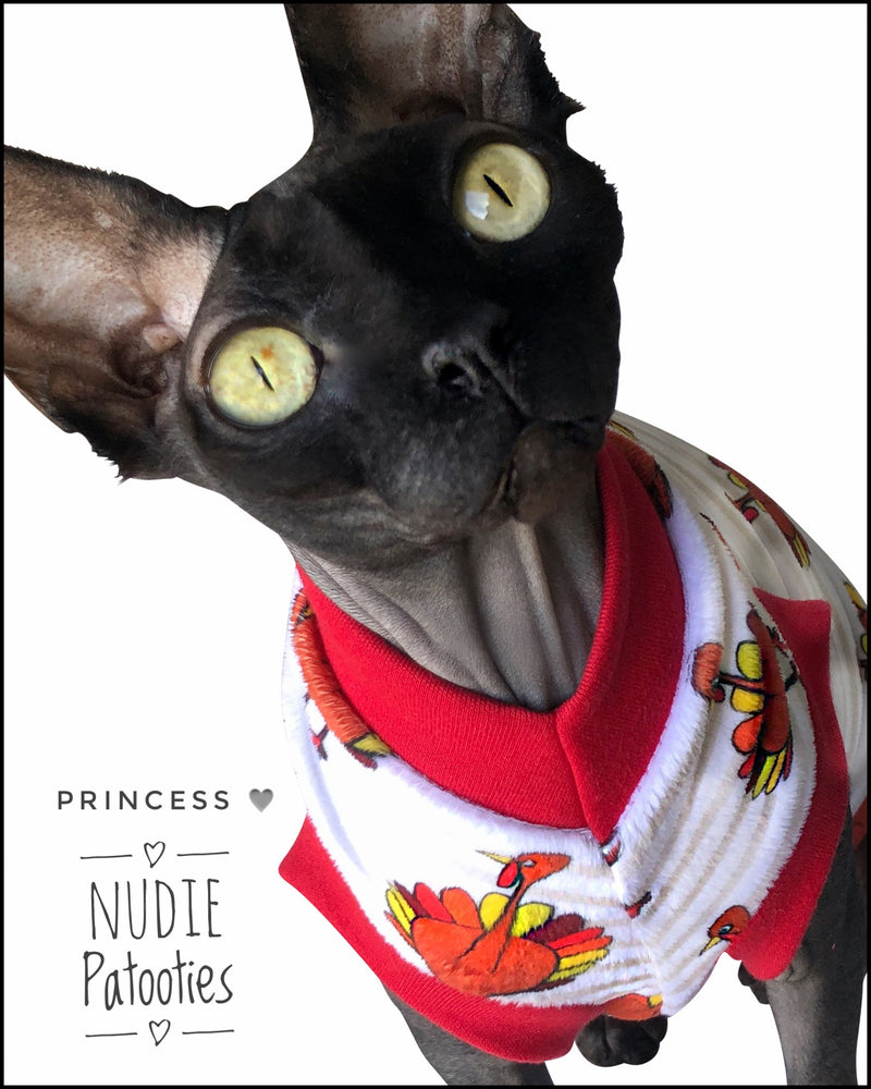 Minky Stripe Thanksgiving Turkeys