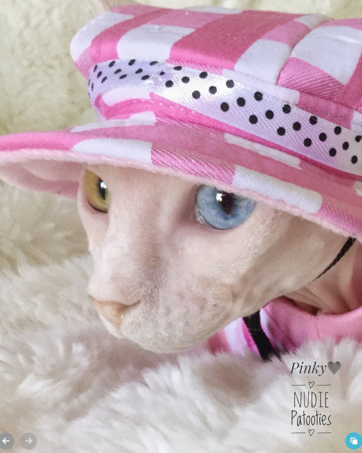 Hat for Cats