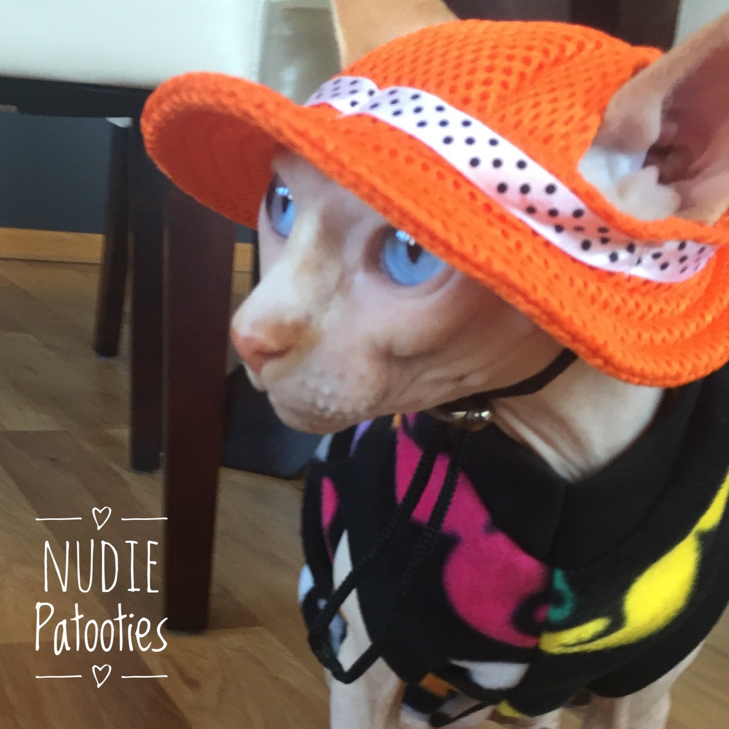 Mesh Hat for Cats - Nudie Patooties