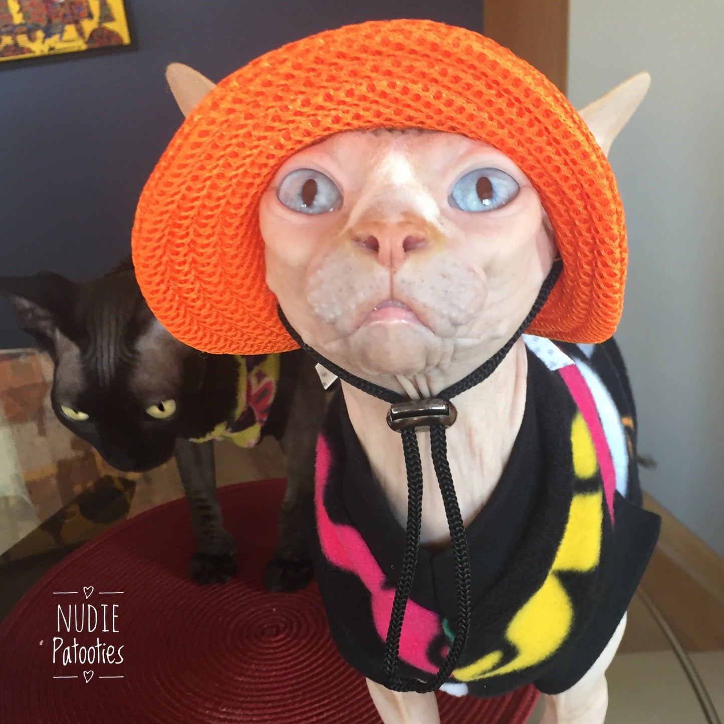 Hat for Cats