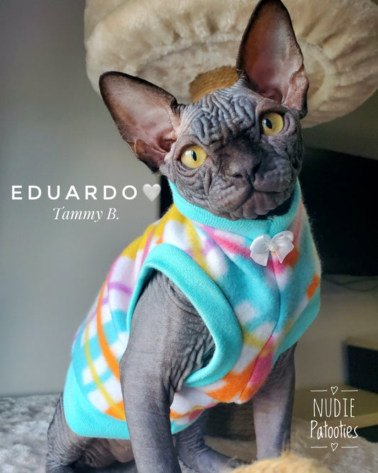 Sphynx cat and kitten shirt.  Sphynx cat clothes. 