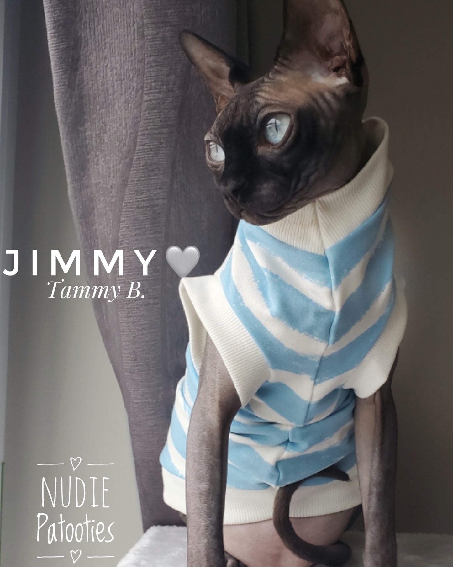 Sphynx cat and kitten organic sweatshirt.  Sphynx cat clothes