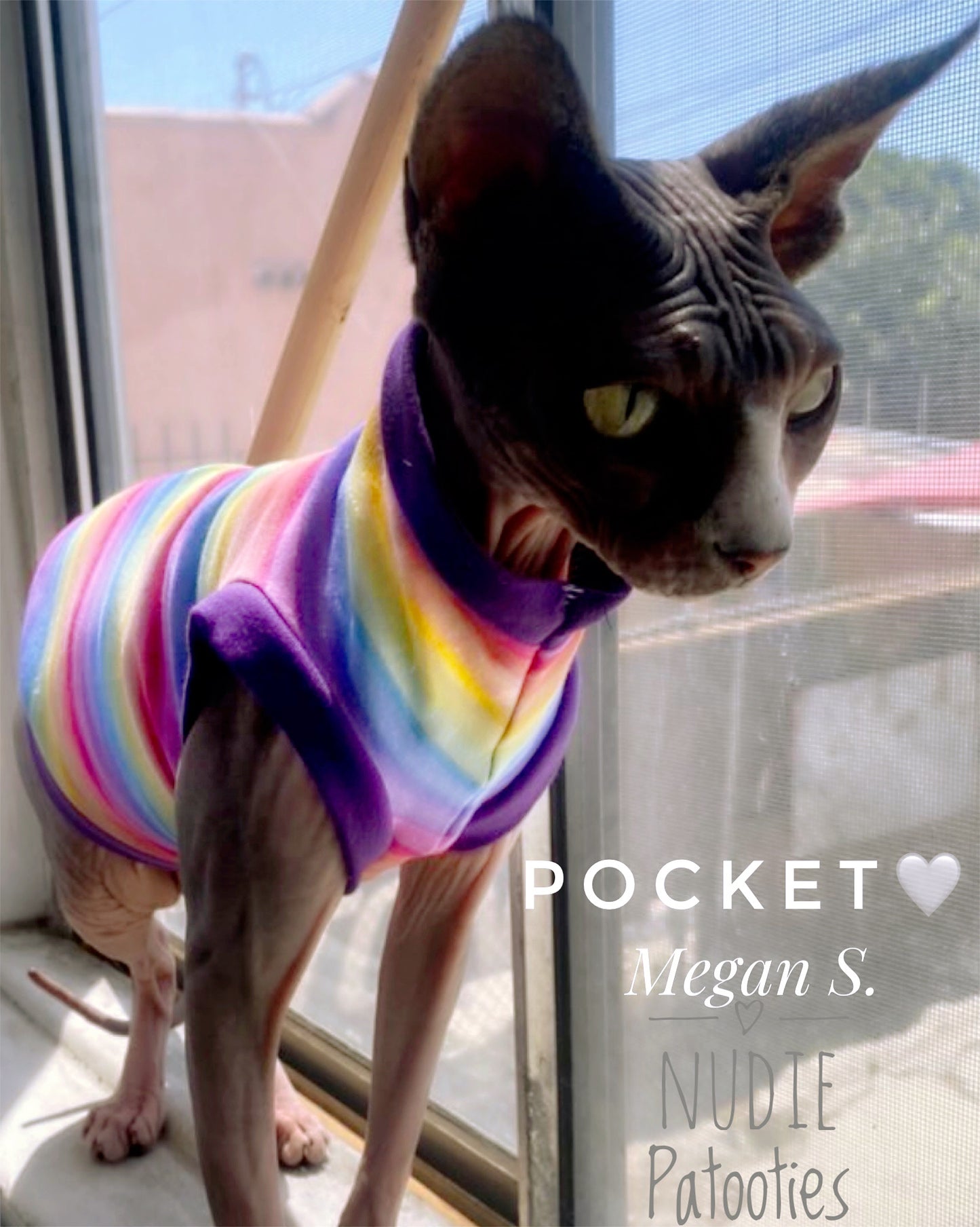 Stripe cotton blend sphynx cat shirt.  Cat  clothes, sphynx clothes