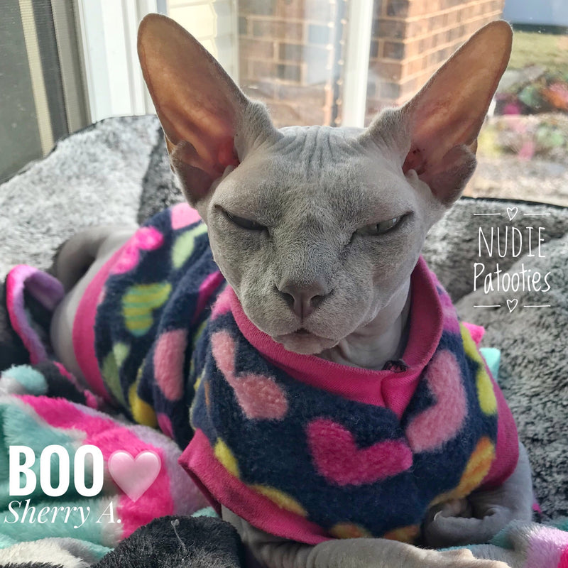 Colorful Heart Fleece "Love Me, Love Me, Say that you Love Me" - Nudie Patooties  Sphynx cat clothes for your sphynx cat, sphynx kitten, Donskoy, Bambino Cat, cornish rex, peterbald and devon rex cat. 