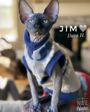 Little Man sphynx cat and kitten fleece, shirt.  Cat  clothes, sphynx clothes
