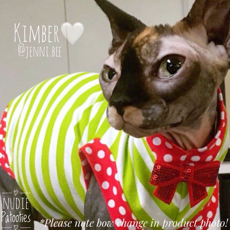 Lime and white stripes with red polka dot trim and cute bow sphynx cat and kitten Christmas shirt.  Sphynx cat clothes 