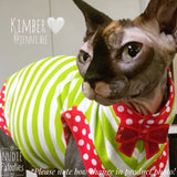 Christmas Lime Stripe and Polka Dot Shirt "Making Spirits Bright" - Nudie Patooties  Sphynx cat clothes for your sphynx cat, sphynx kitten, Donskoy, Bambino Cat, cornish rex, peterbald and devon rex cat. 