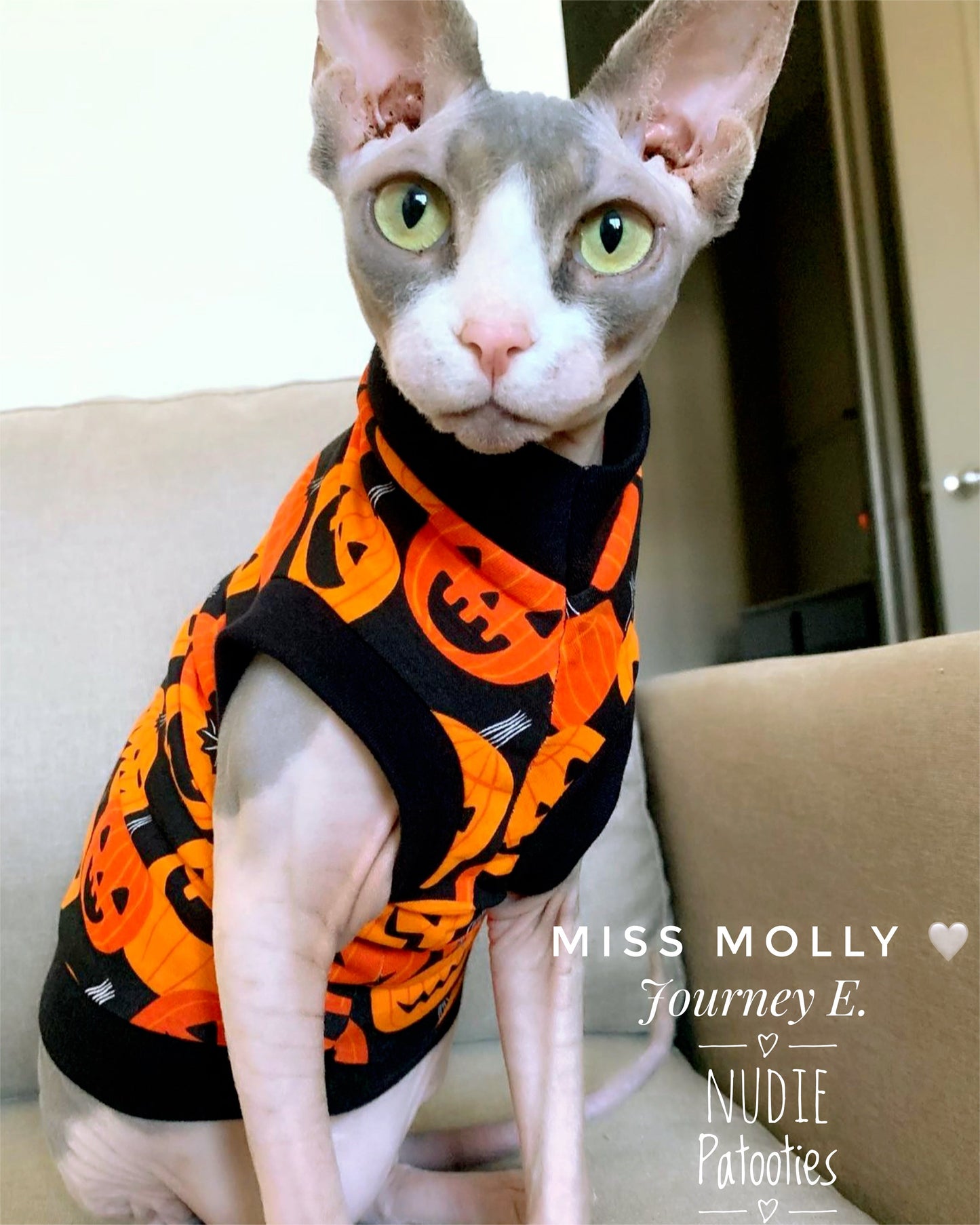 Sphynx cat and kitten Halloween shirt.  Sphynx cat clothes.