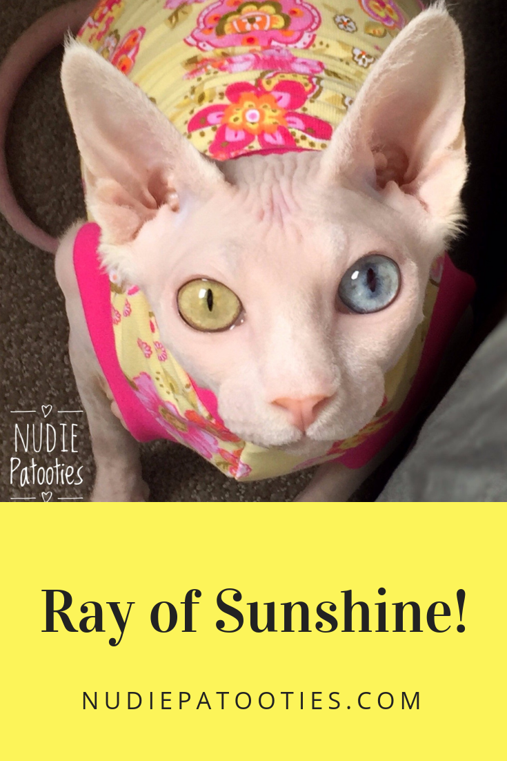 Ray of Sunshine - Nudie Patooties