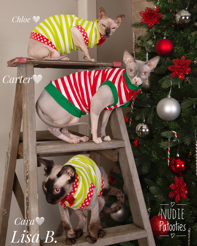 Lime and white stripes with red polka dot trim and cute bow sphynx cat and kitten Christmas shirt.  Sphynx cat clothes 