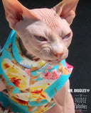Sphynx cat clothes, shirts and sweaters. 