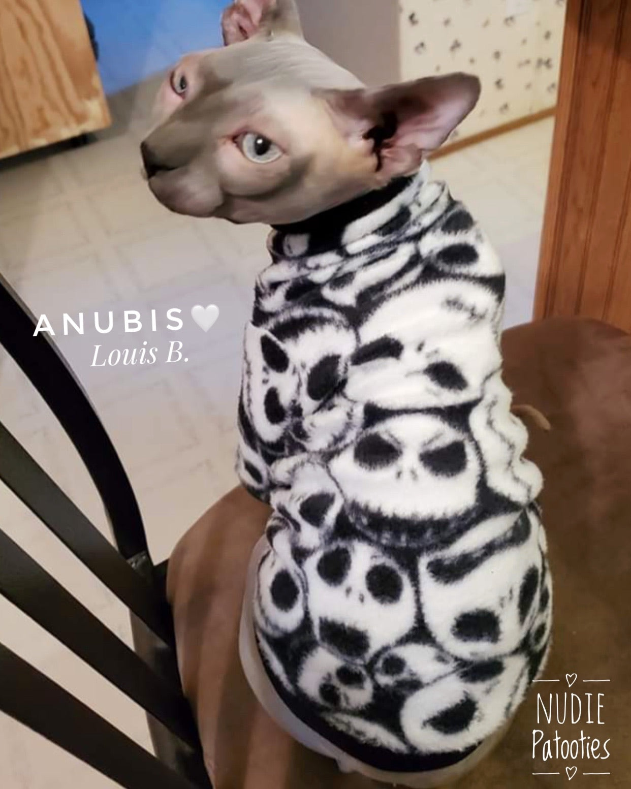 Sphynx cat clothes, shirts and sweaters. Warm long sleeve fleece. Sphynx cat clothes 