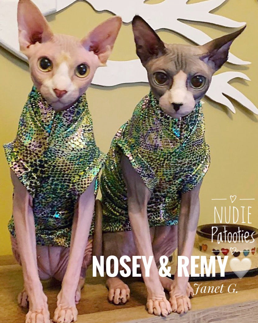 Sphynx cat clothes, shirts and sweaters. 