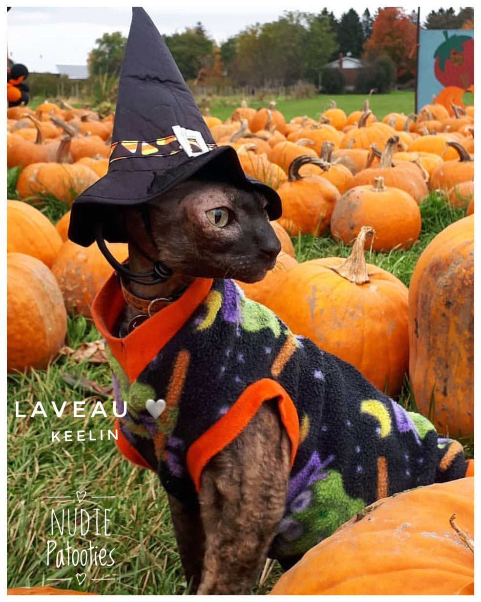 Witches sphynx cat and kitten Halloween Fleece shirt.  Sphynx cat clothes. Being Witchy" - Nudie Patooties