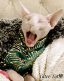 Sohynx cat and kitten shirt.  Sphynx cat clothes