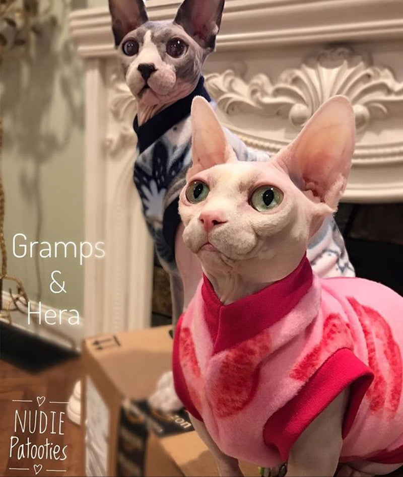 Blue and Grey Floral Fleece "Flourish" - Nudie Patooties  Sphynx cat clothes for your sphynx cat, sphynx kitten, Donskoy, Bambino Cat, cornish rex, peterbald and devon rex cat. 