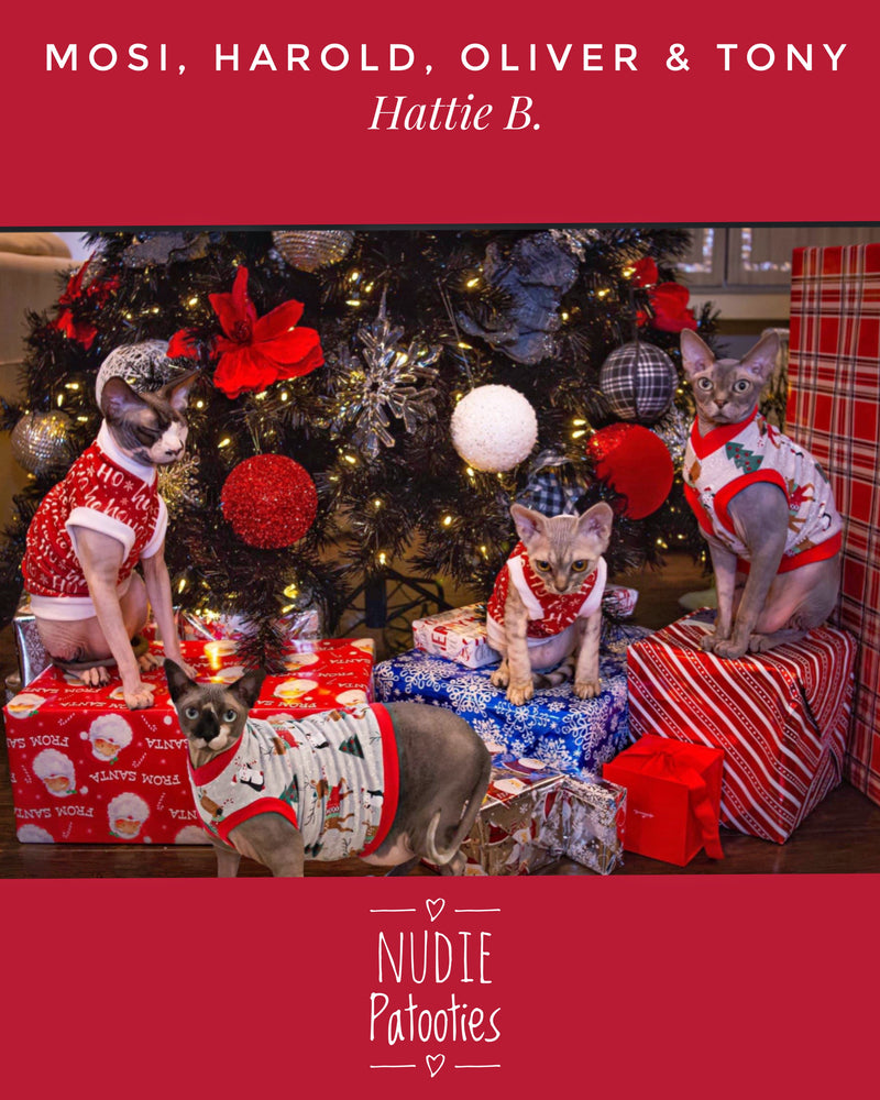 Christmas shirt for sphynx cat and kitten.  Sphynx cat clothes. 