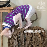 Purple and Green Stripe - Nudie Patooties