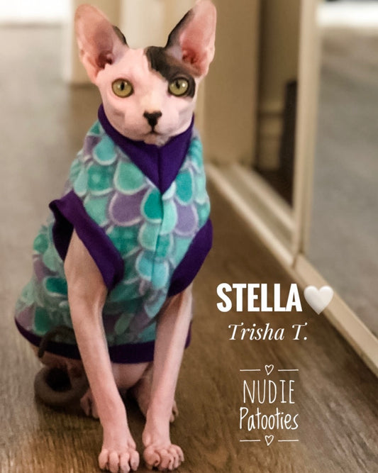 Sphynx cat and kitten fleece shirt.  Sphynx cat clothes