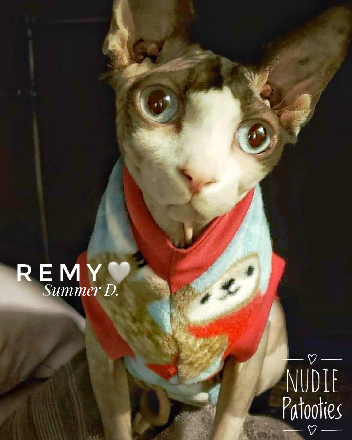 Nudie Patooties Christmas Sloth Fleece shirt for your sphynx cat, sphynx kitten, cornish rex, peterbald and devon rex cat.  Sphynx cat clothes, shirts and sweaters. 