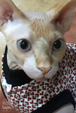 Caught Red Handed - Nudie Patooties  Sphynx cat clothes for your sphynx cat, sphynx kitten, Donskoy, Bambino Cat, cornish rex, peterbald and devon rex cat. 